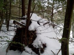 Как выжить зимой в лесу